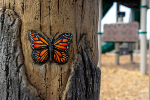 playground butterfly