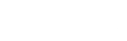 LSI Logo