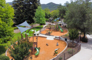 A series of interconnected Tree Tops bridges and slides.